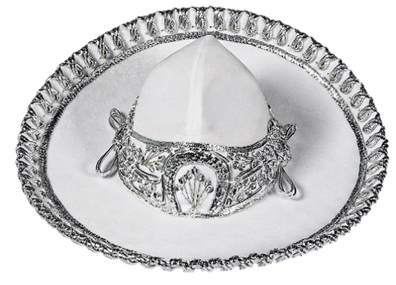 Traje de Charro con Sombrero Plata