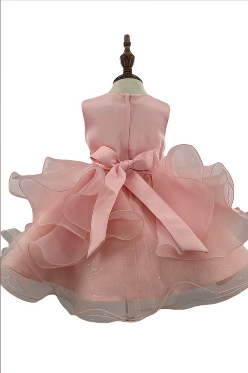 Blush Baby Dress