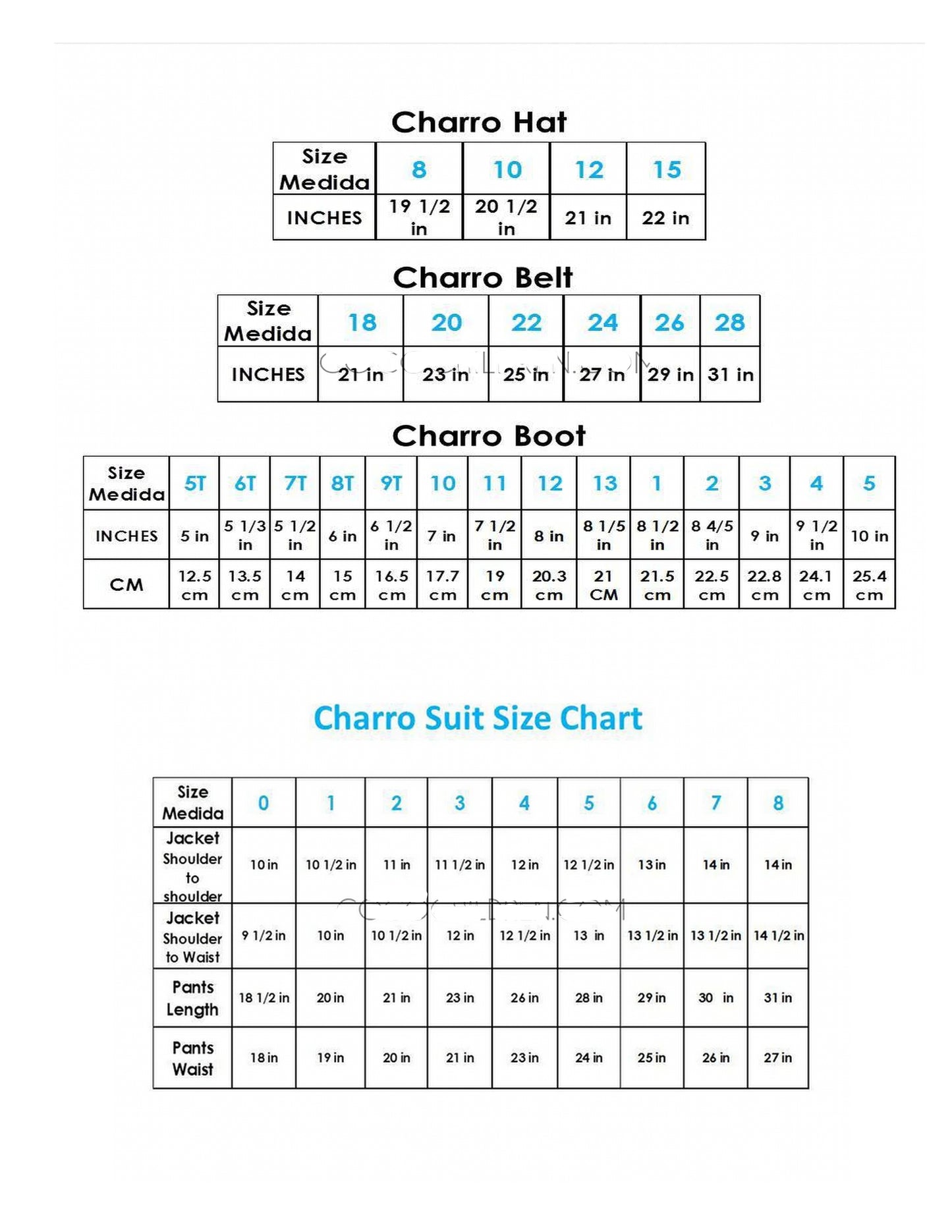 Traje de Charro con Sombrero Dorado