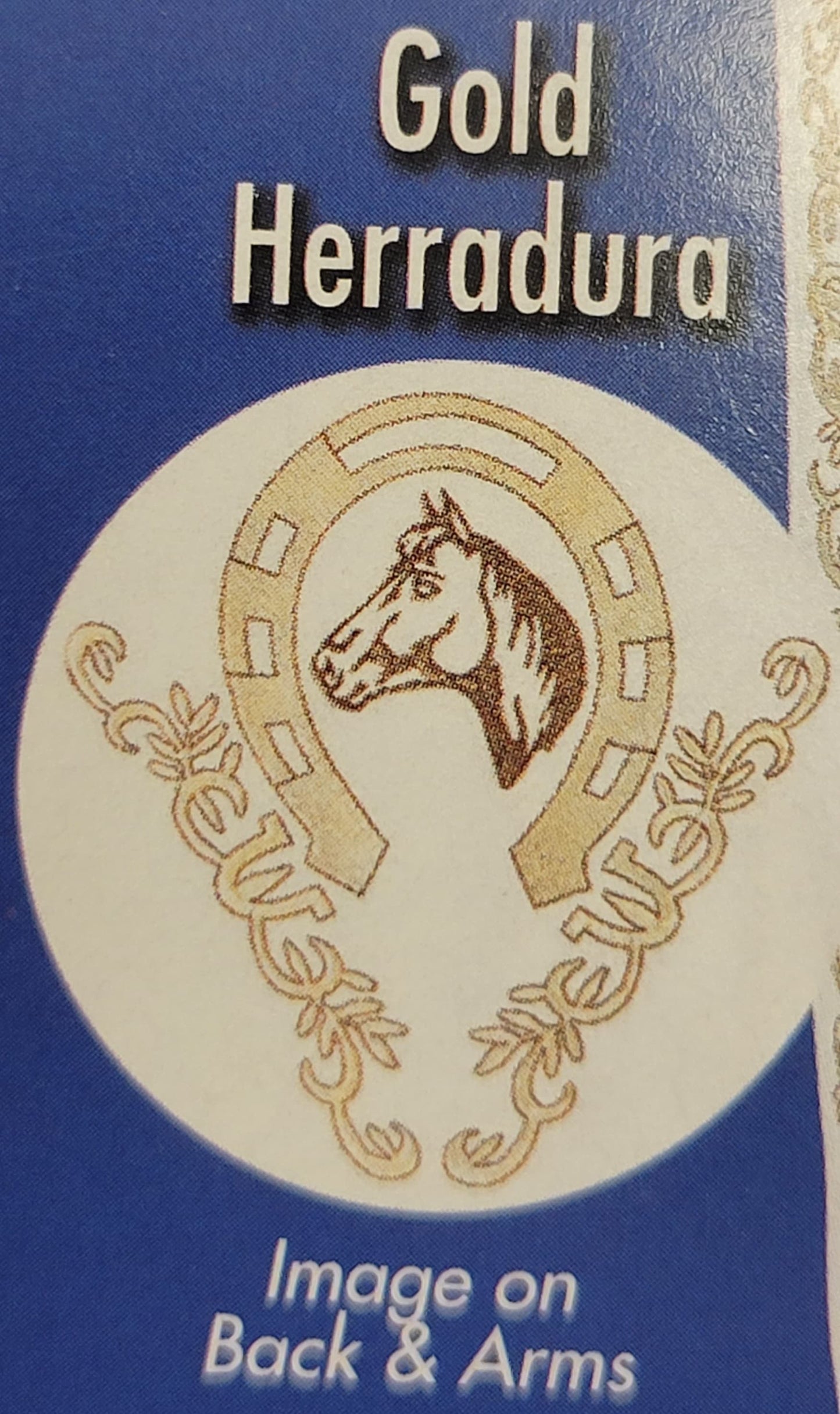 Traje de Charro/Charro Boy Outfit