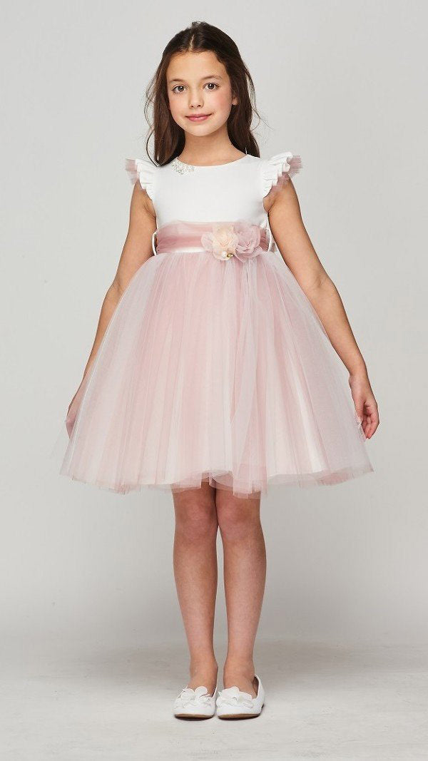 Blush Girl Dress,Girl Dress,Blush Dress, Blush Dress, Flower Girl, Wedding Flower Girl Dress, Blush Teen Dress
