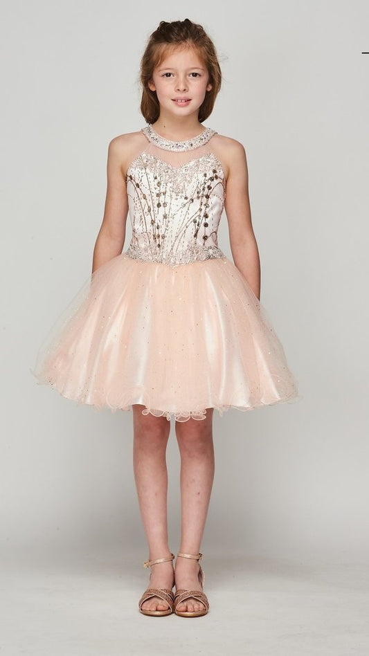 Blush Girl Dress,Girl Dress, Blush Dress, Blush Dress, Flower Girl, Wedding Flower Girl Dress, Blush Teen Dress