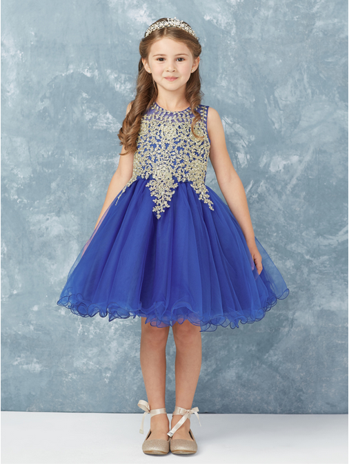 Royal Blue Girl Dress,Girl Dress, Royal Blue Dress, Flower Girl, Wedding Flower Girl Dress, party dress