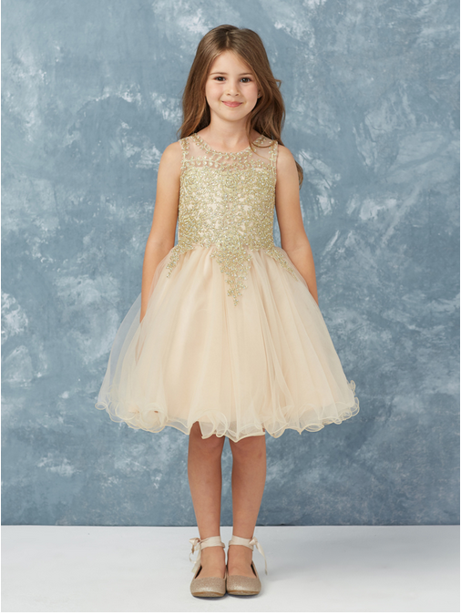 Champagne Girl Dress,Girl Dress, Champagne Dress, Flower Girl, Wedding Flower Girl Dress, party dress