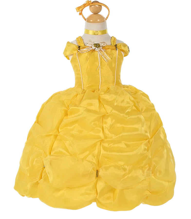 Princess Dress, Belle Dress Inspired,